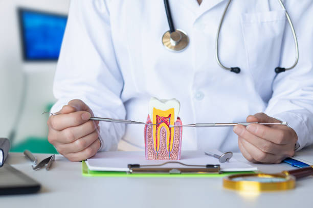 Best Pediatric Emergency Dentist in Sibley, IA